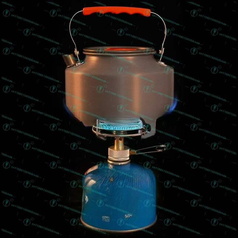 Kompor gas luar ruangan, tipe  - Outdoor Camping Gas Stove ulasan dan harga