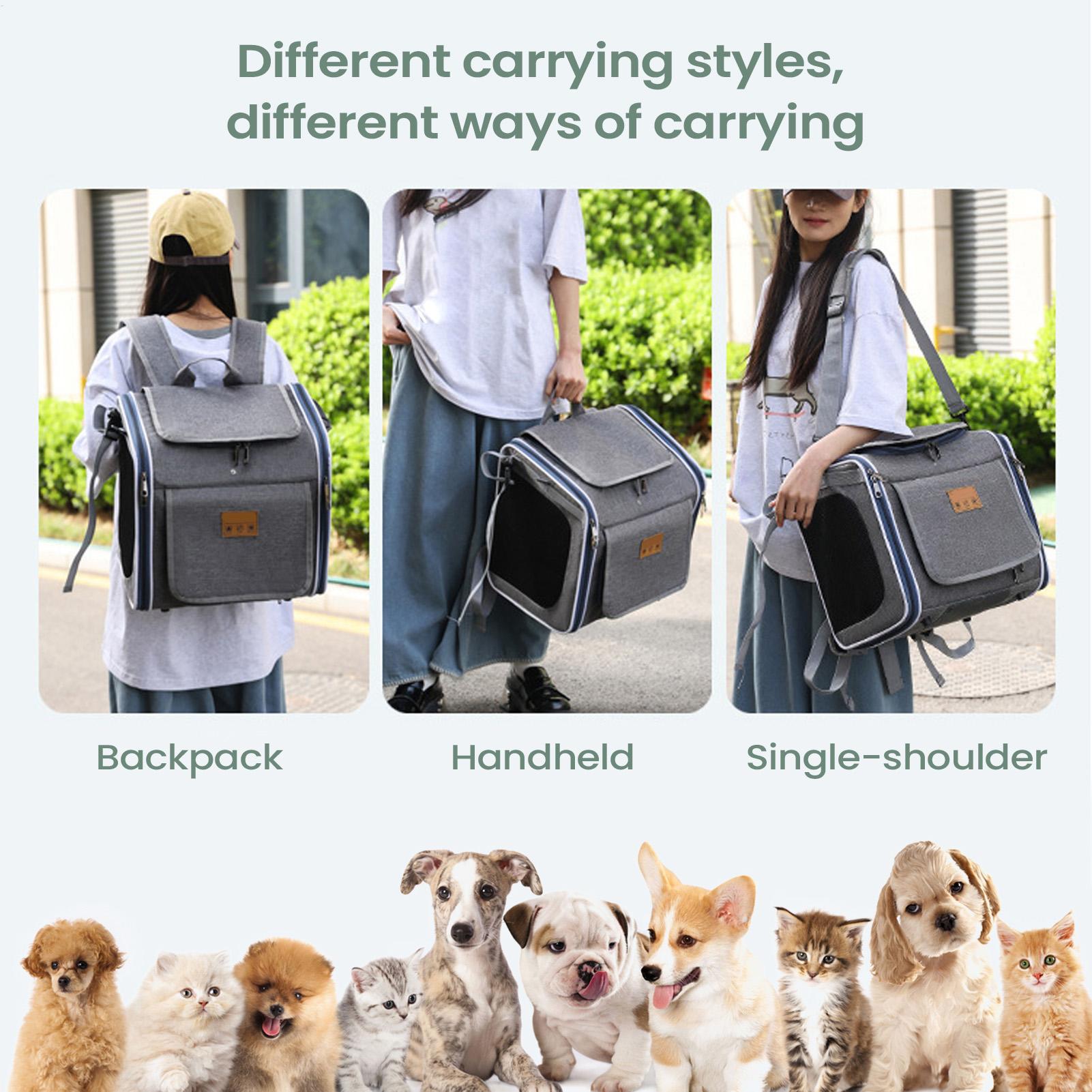 Keranjang Sepeda Anjing, Tas H - Urban Outdoor Camping ulasan dan harga